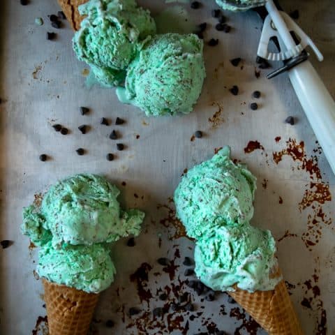 Homemade Mint Chocolate Chip Ice Cream