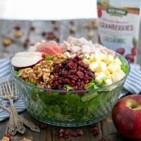 Apple Cranberry Salad with Turkey and Apple Cider Vinaigrette Recipe