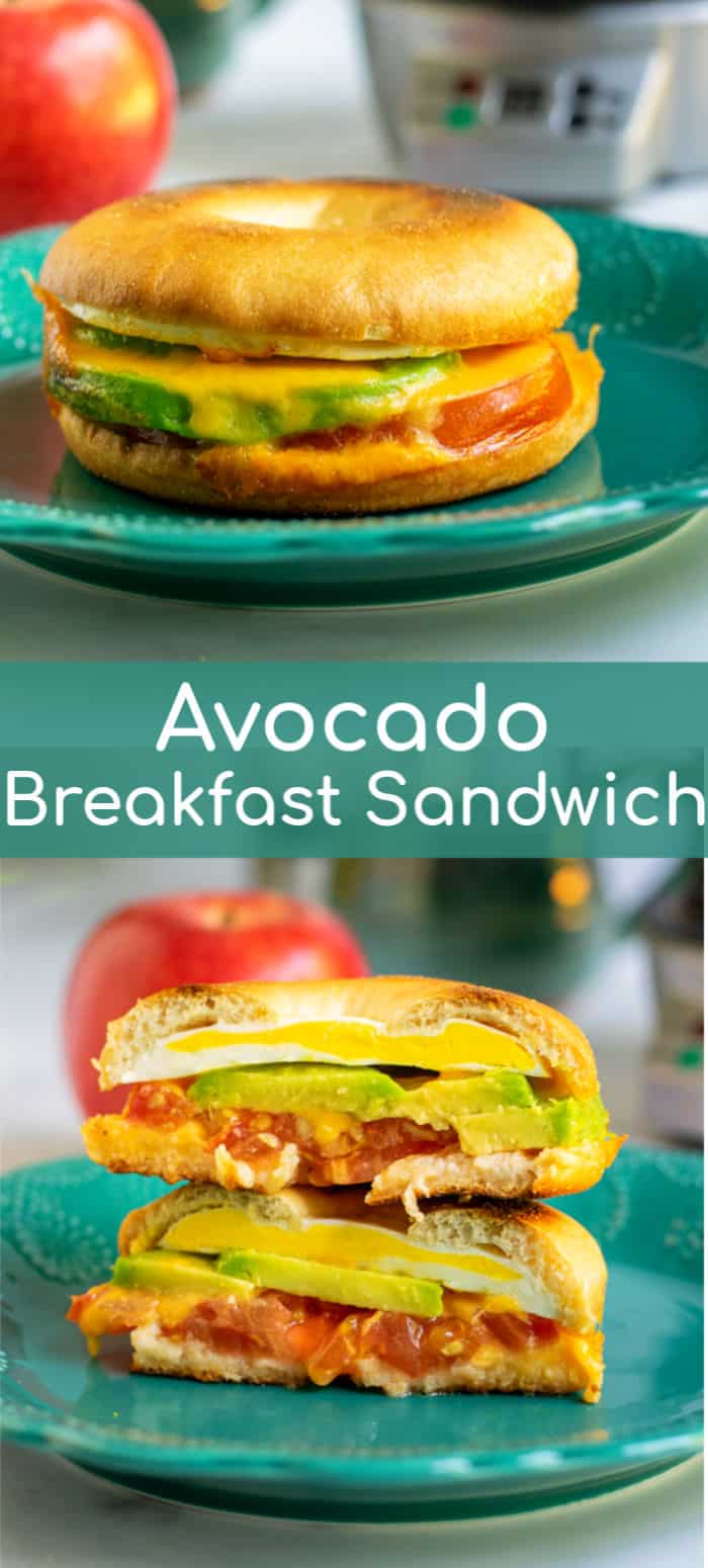 Easy Avocado Breakfast Sandwich - The Schmidty Wife