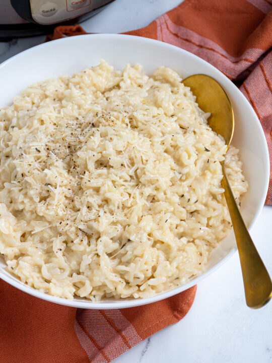 plain arborio rice instant pot