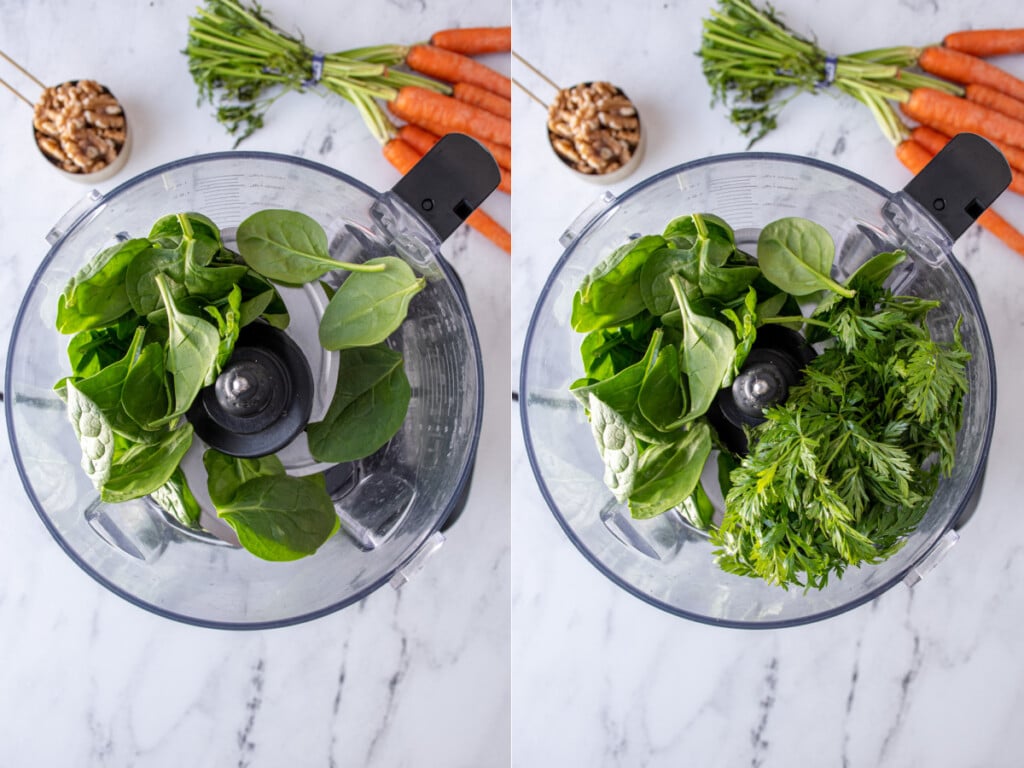 First steps of adding spinach and carrot greens to a food processor for making carrot top pesto.