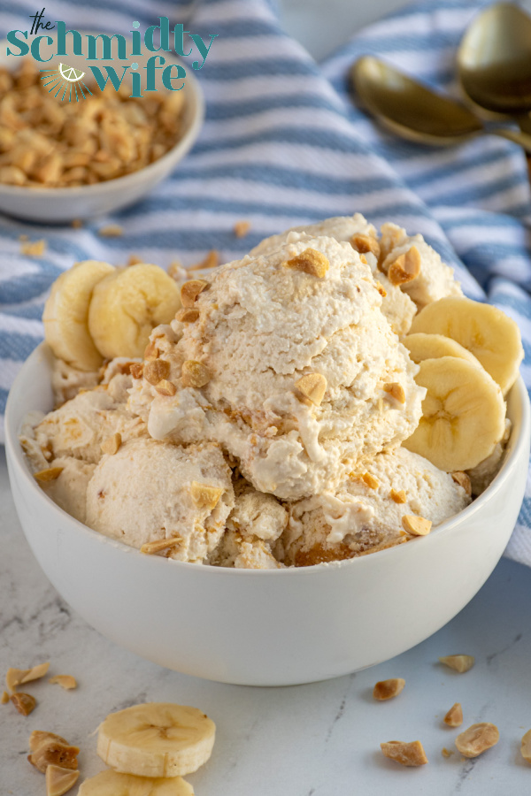 Cottage Cheese Ice Cream (Viral Recipe) - The Schmidty Wife