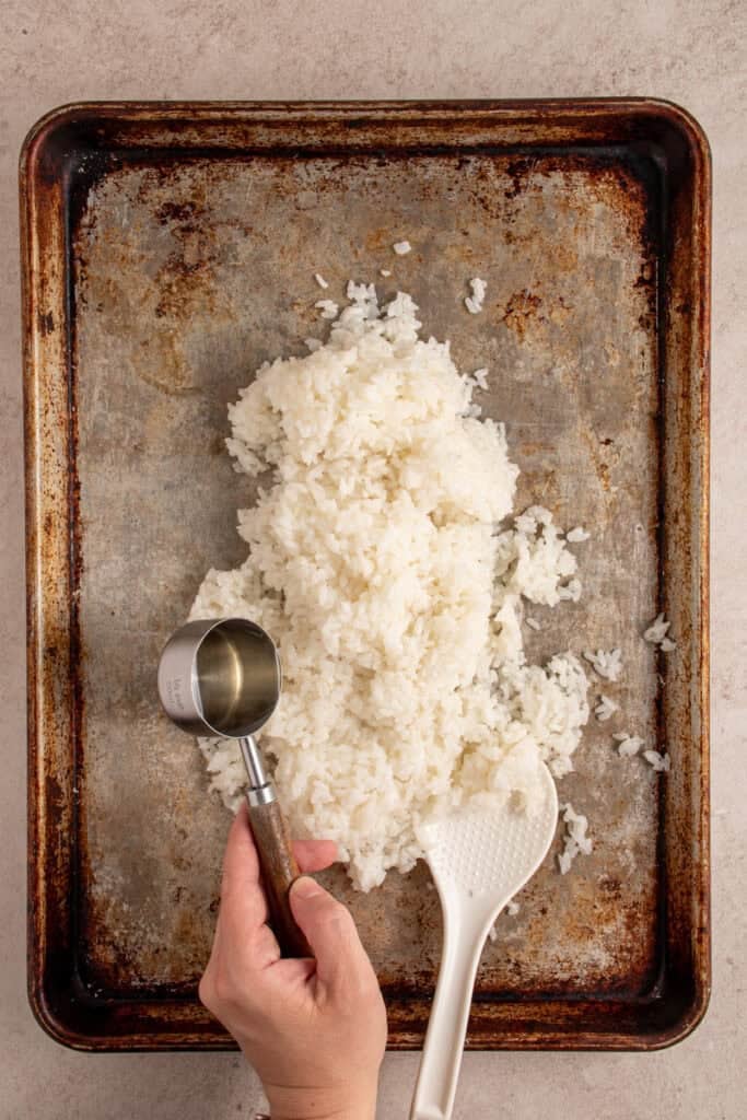 Adding seasoned rice vinegar to the cooked rice.