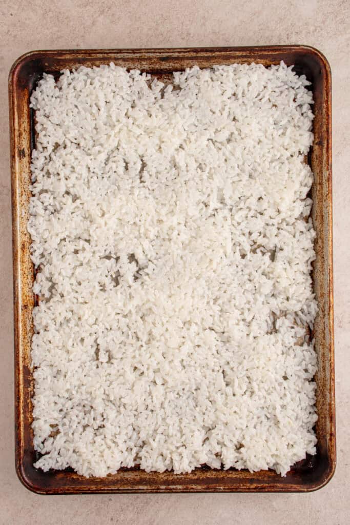 Cooling rice on a sheet pan.